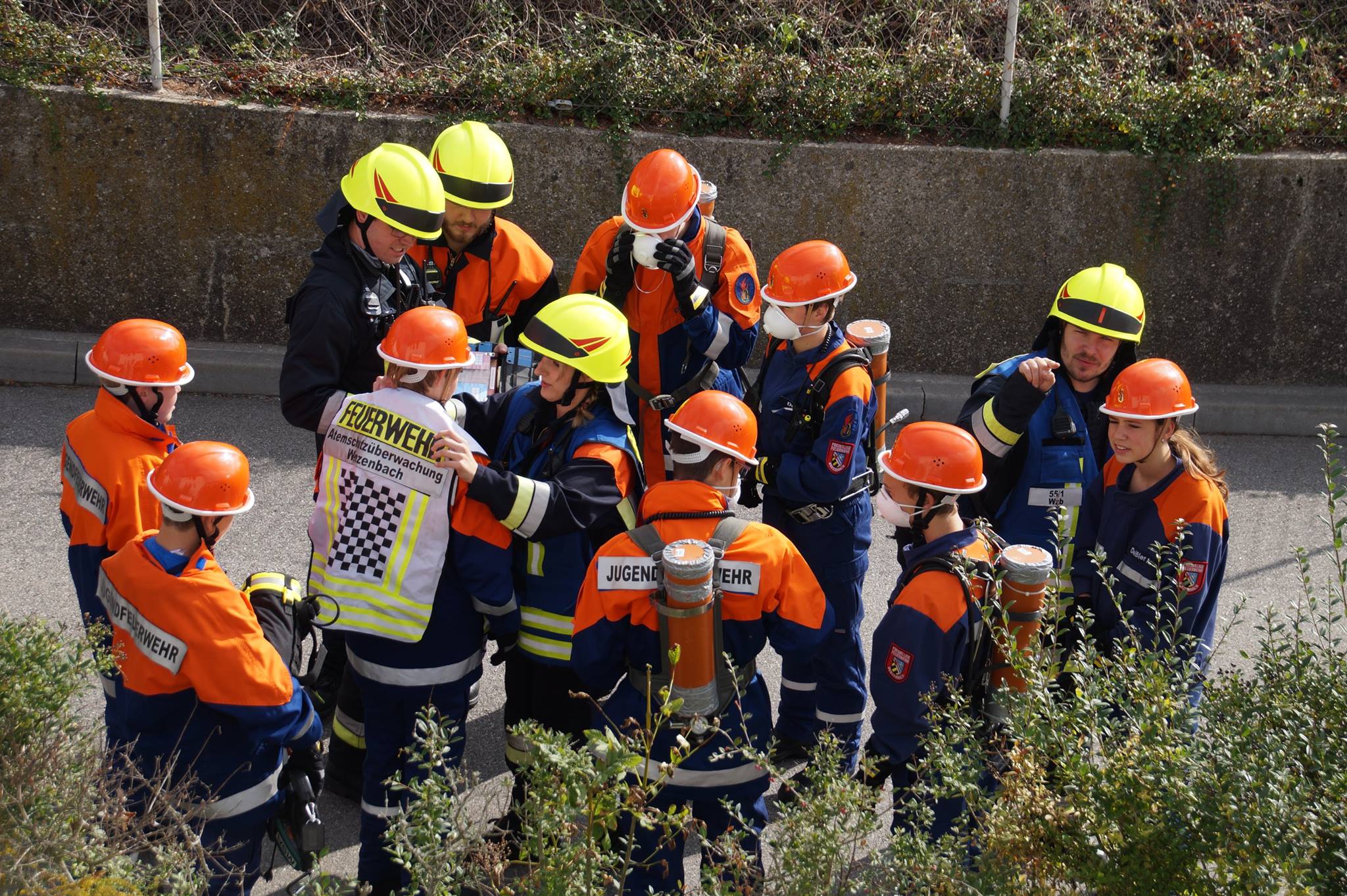 12028785 896239567125388 4471788475133121178 o